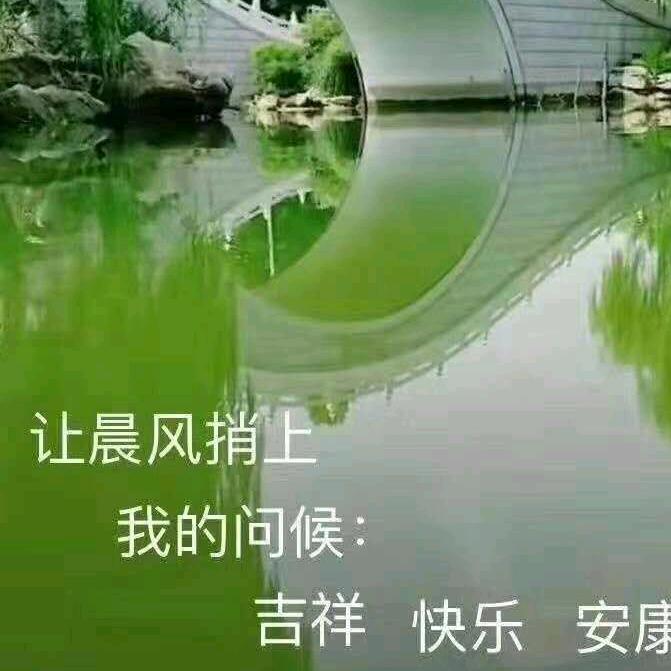 三棵书