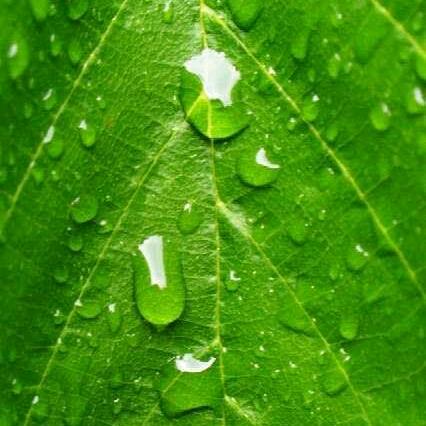 小 雨 滴