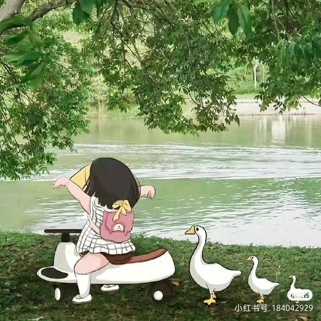 最帅的李