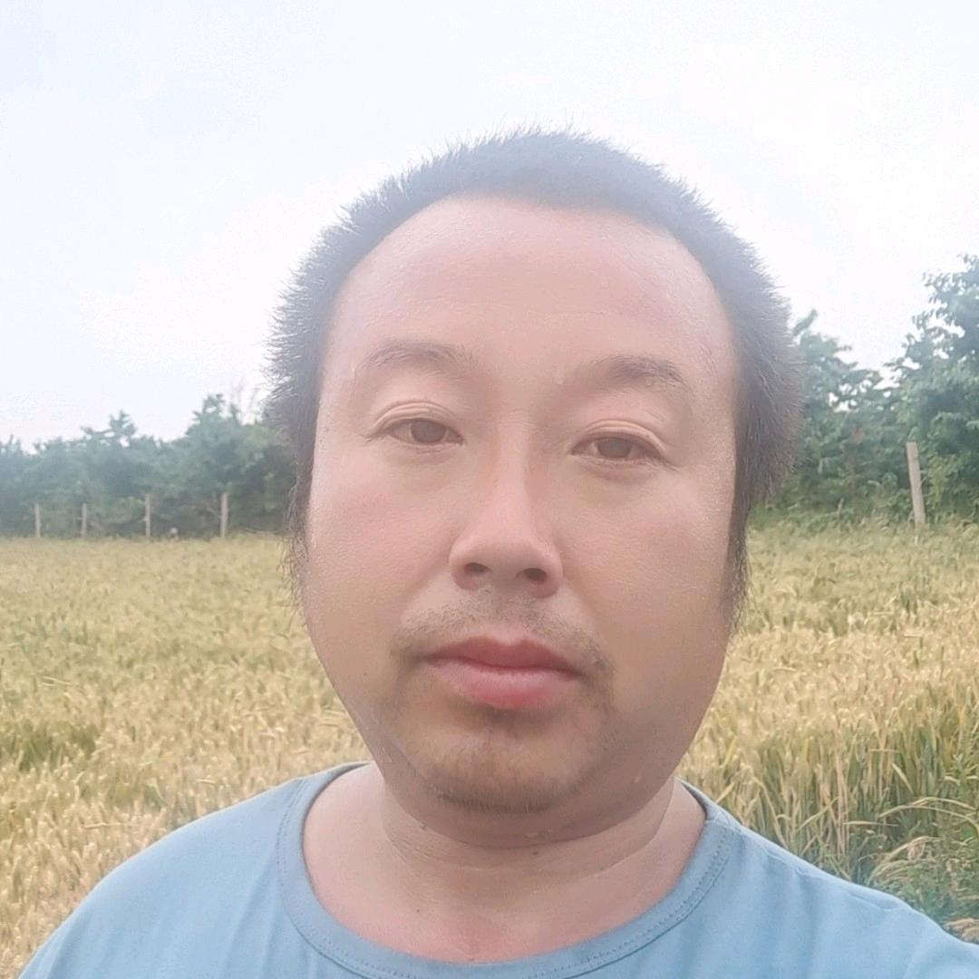 刚哥我在_