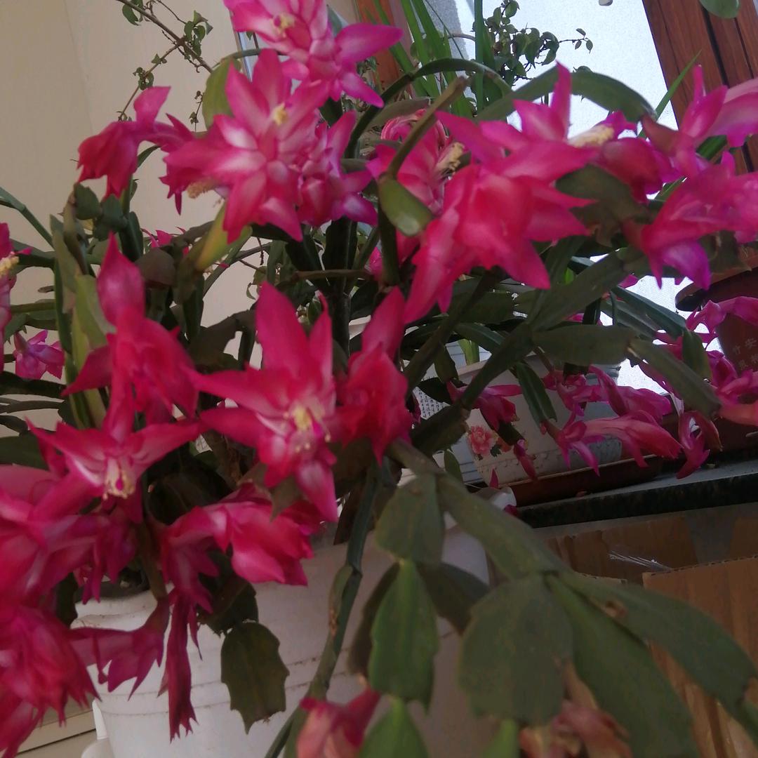 岁月静好，时光如梭