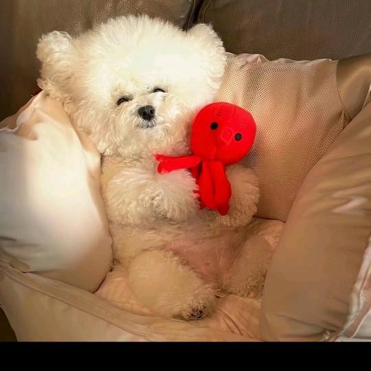 浅夏〃微凉¹⁸