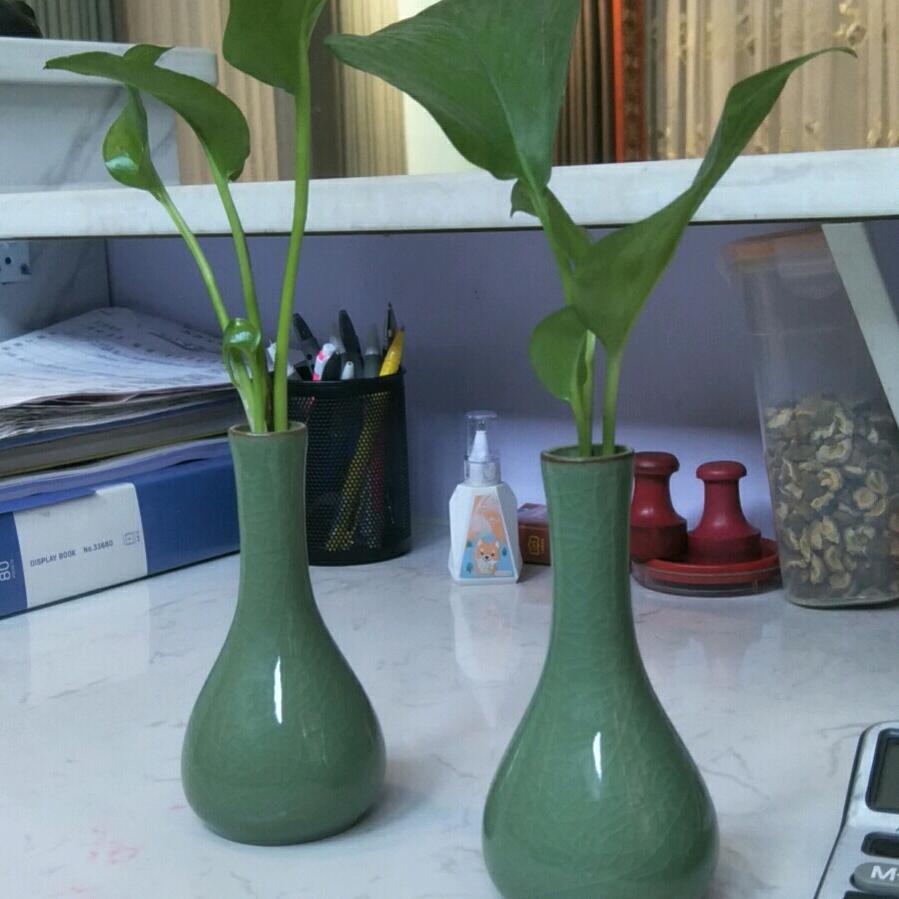 千秦相思