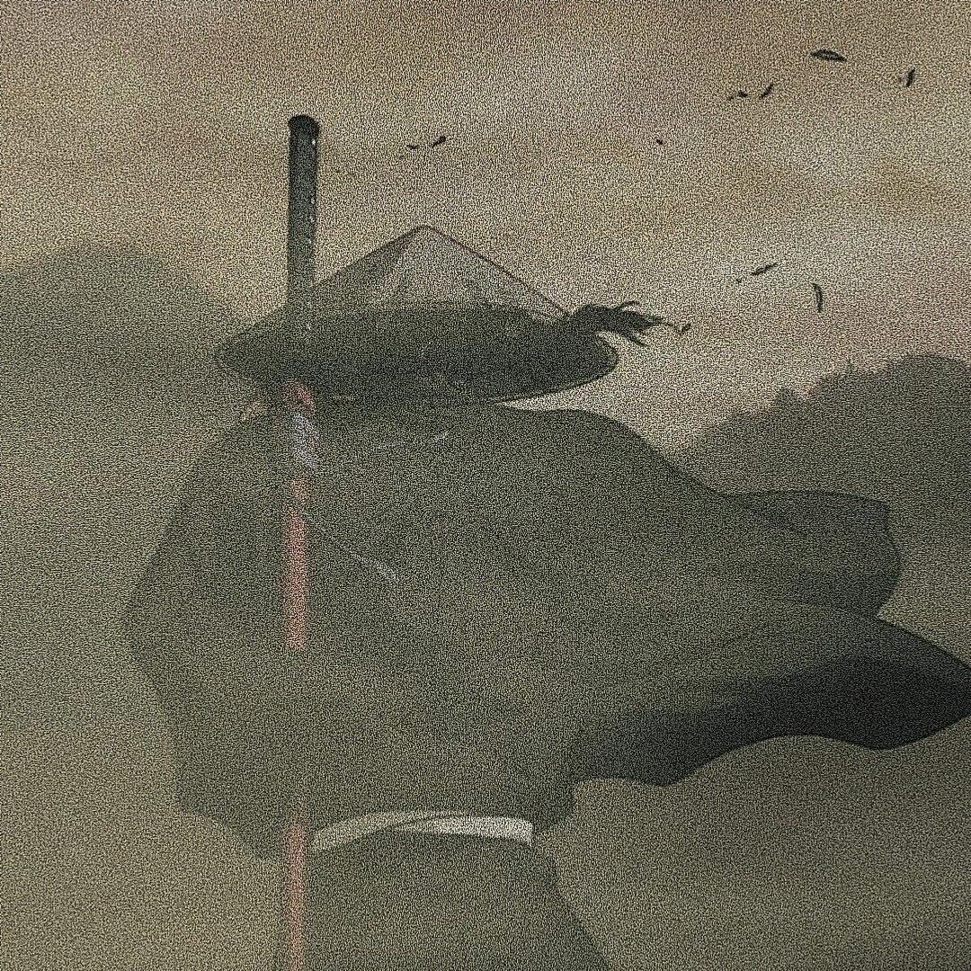 寄锦书来(三角洲行动)