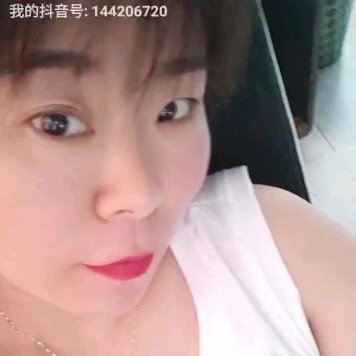 飞翔大雁