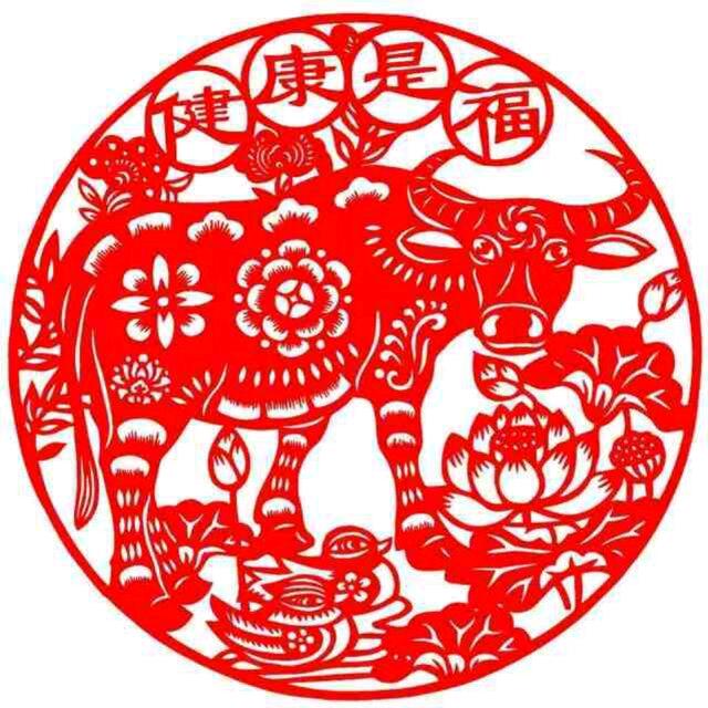 绿柳长袖