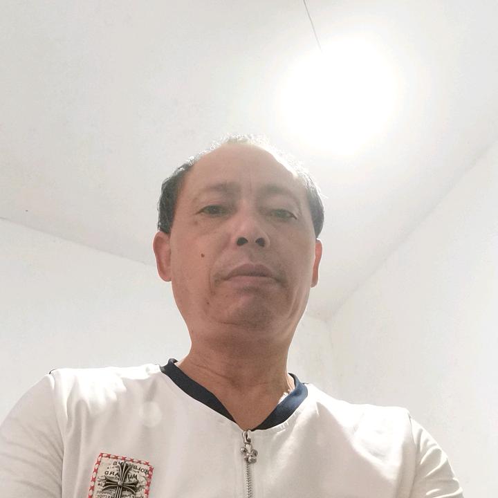 骆驼