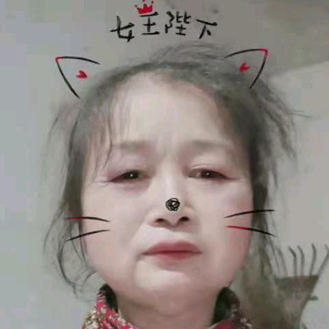 张登淑