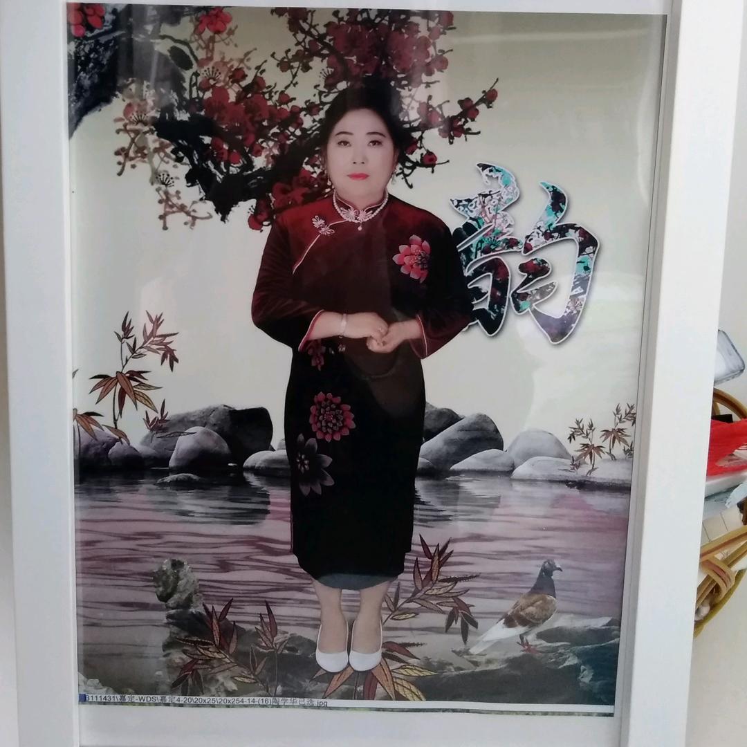 老陶