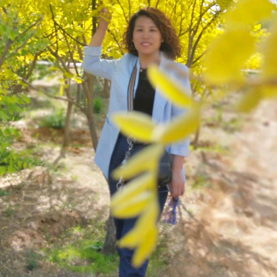 燕子🕊