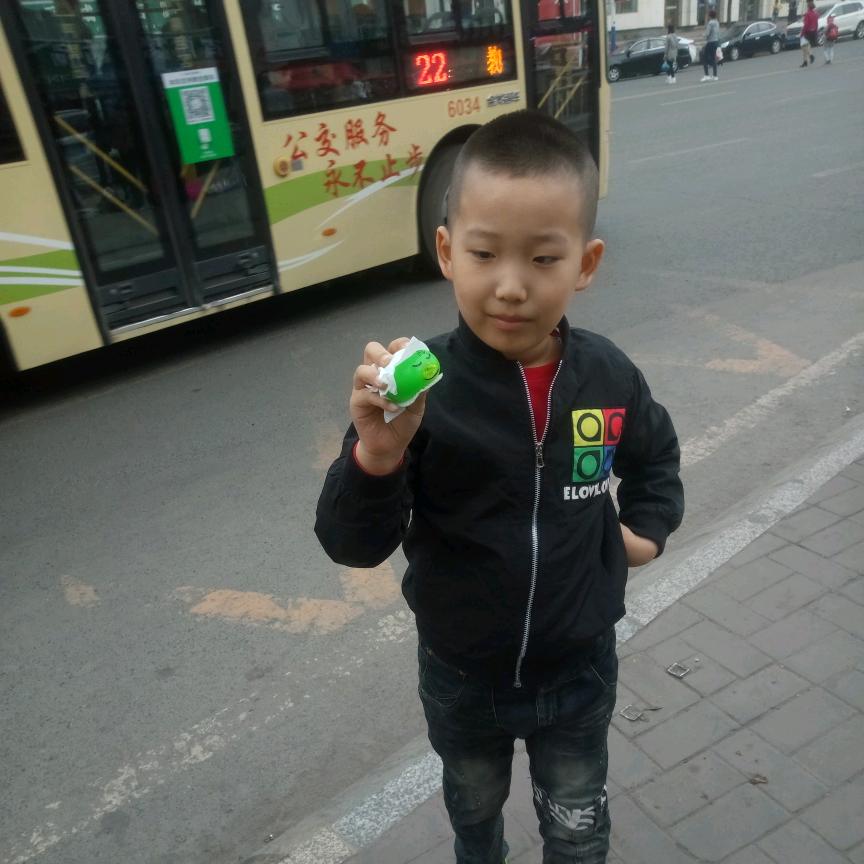 瑞丽之星