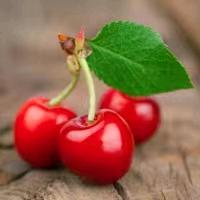 🥀ꦿ꯭流年似水💞꧔ꦿ᭄