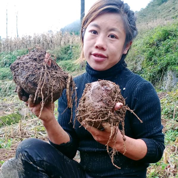 小珍群记录农村生活