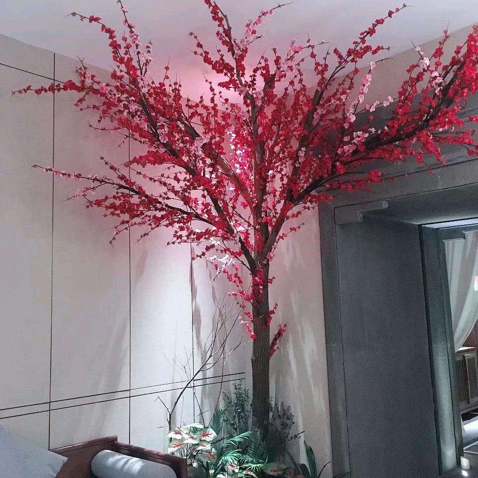 与天使相约