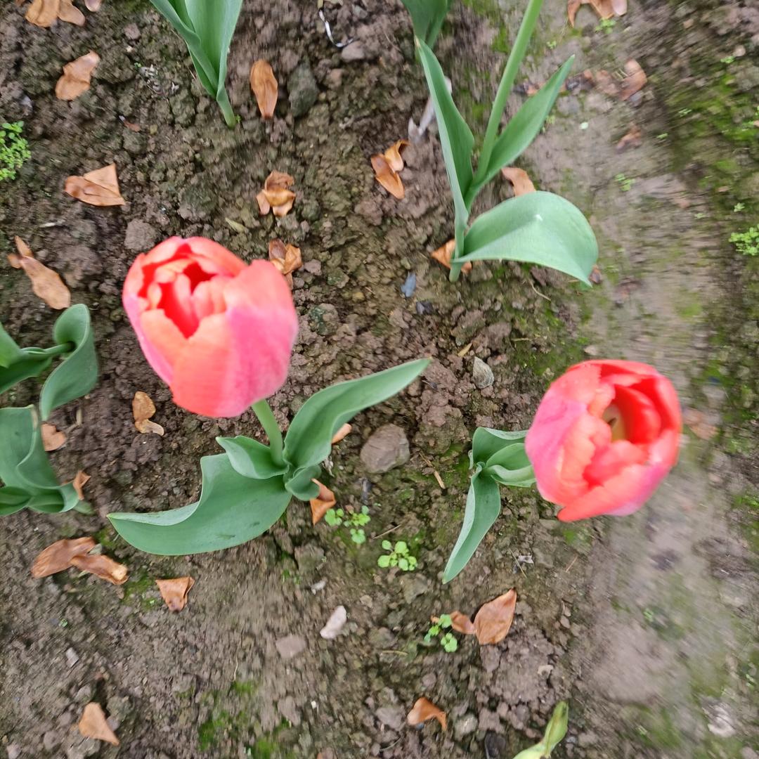 👬多姿多彩👭🐰