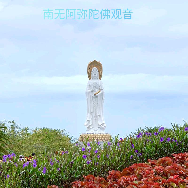 魏姐