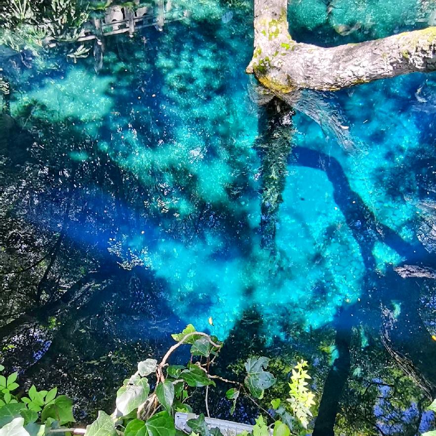 古灵精怪小宝贝