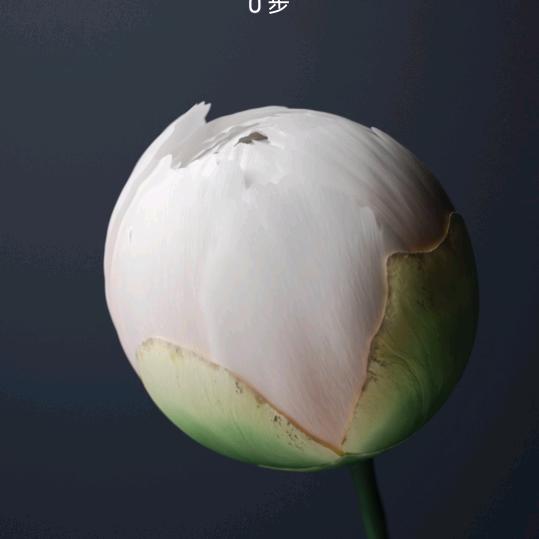 人生如梦