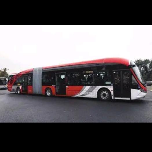 两个儿子都爱我