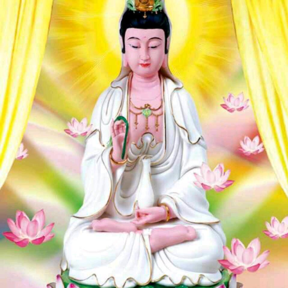 ₅₂₀💞࿐张牙舞赵💞꧔ꦿ᭄
