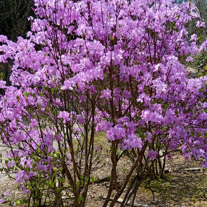 贵州姑娘安徽媳妇，刘大姐