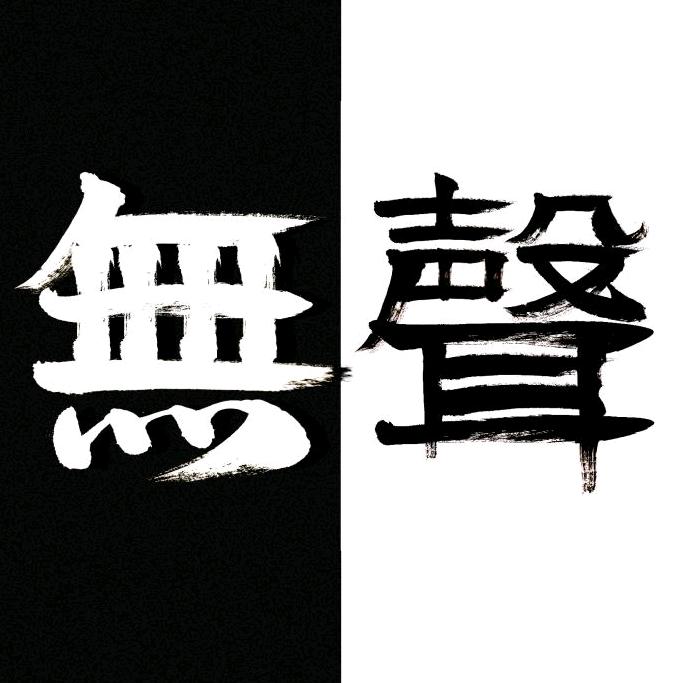 无声流影