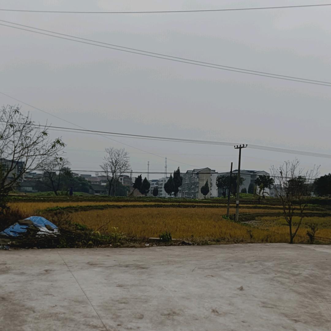 老周