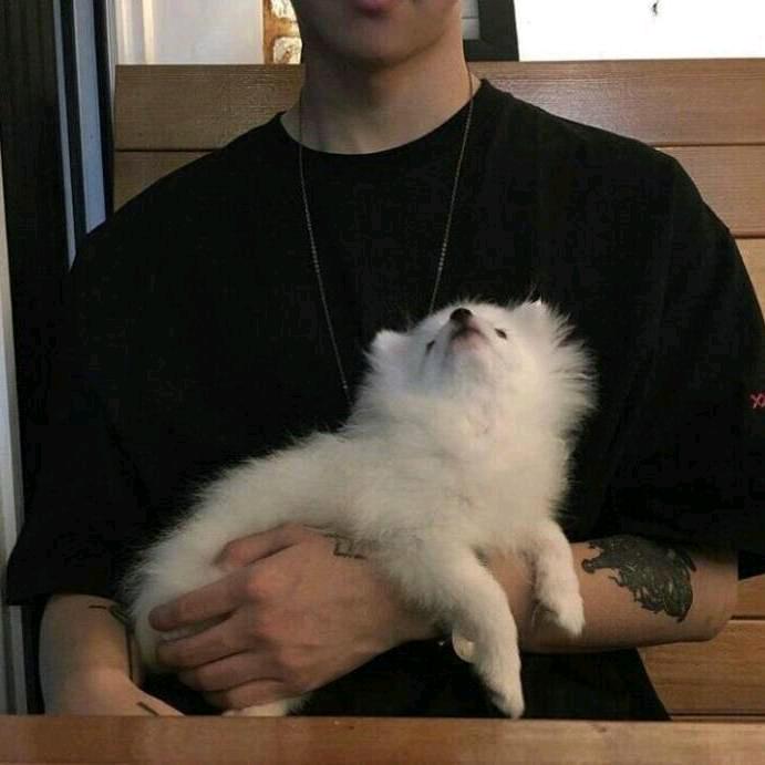 可惜你不听林俊杰