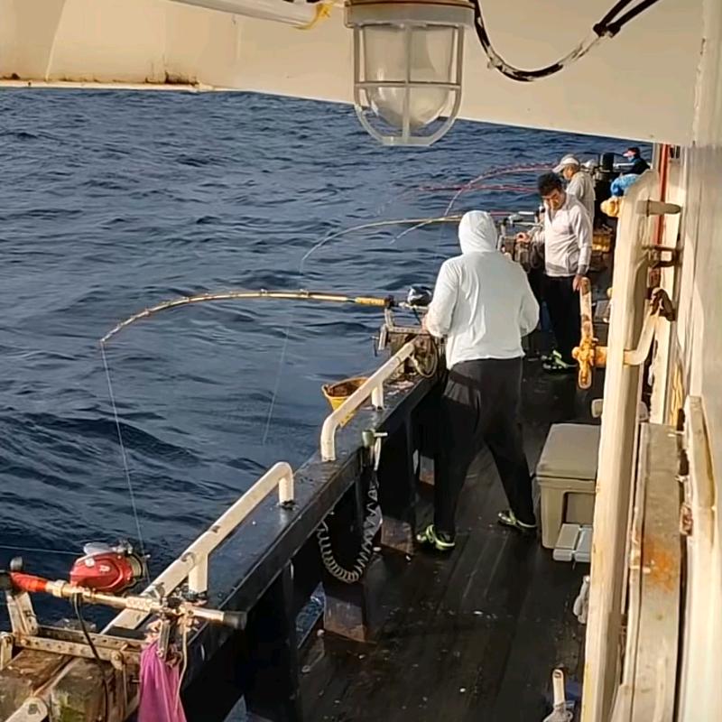 忙碌了一年！就盼这一天！