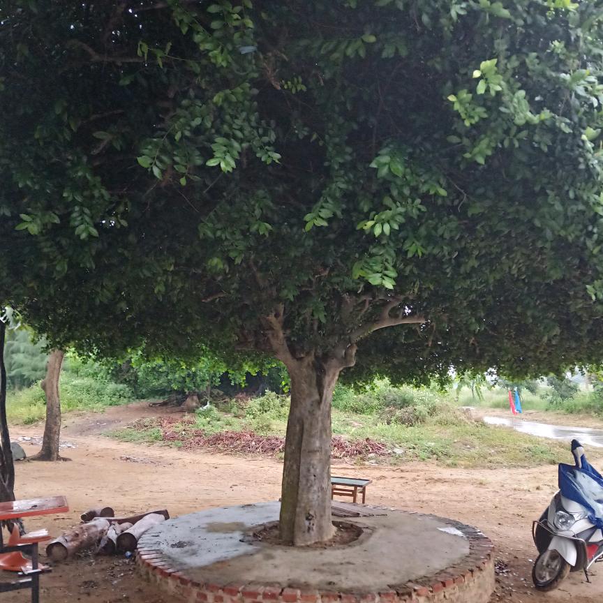 人生没有一帆风顺