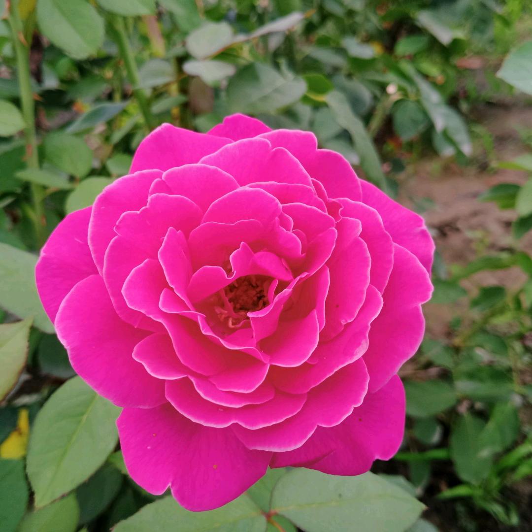 幸福的圆满