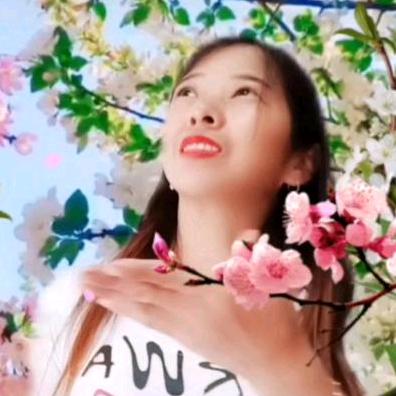 远看青松