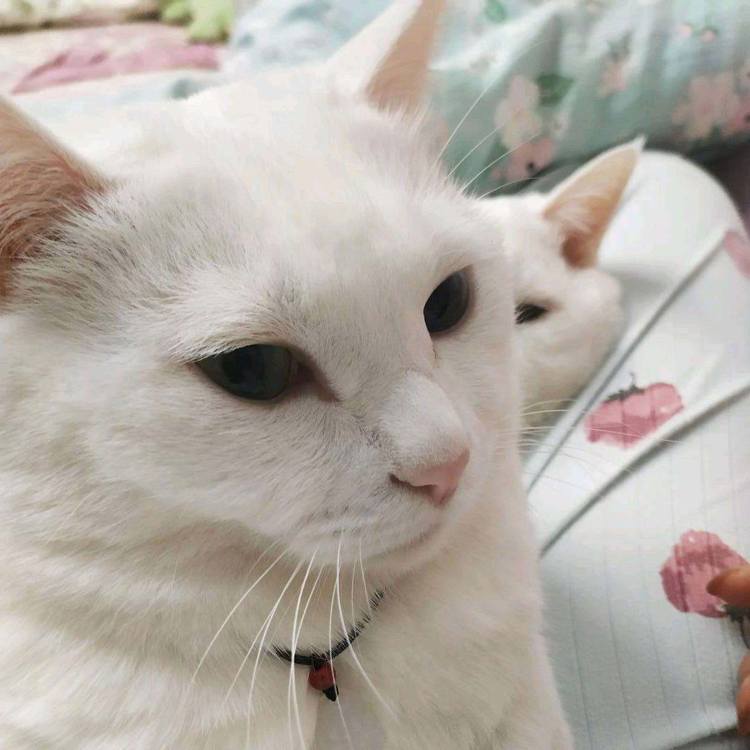 小盒子