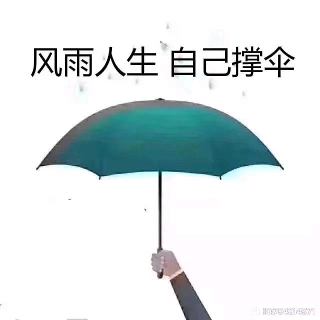风雨同舟