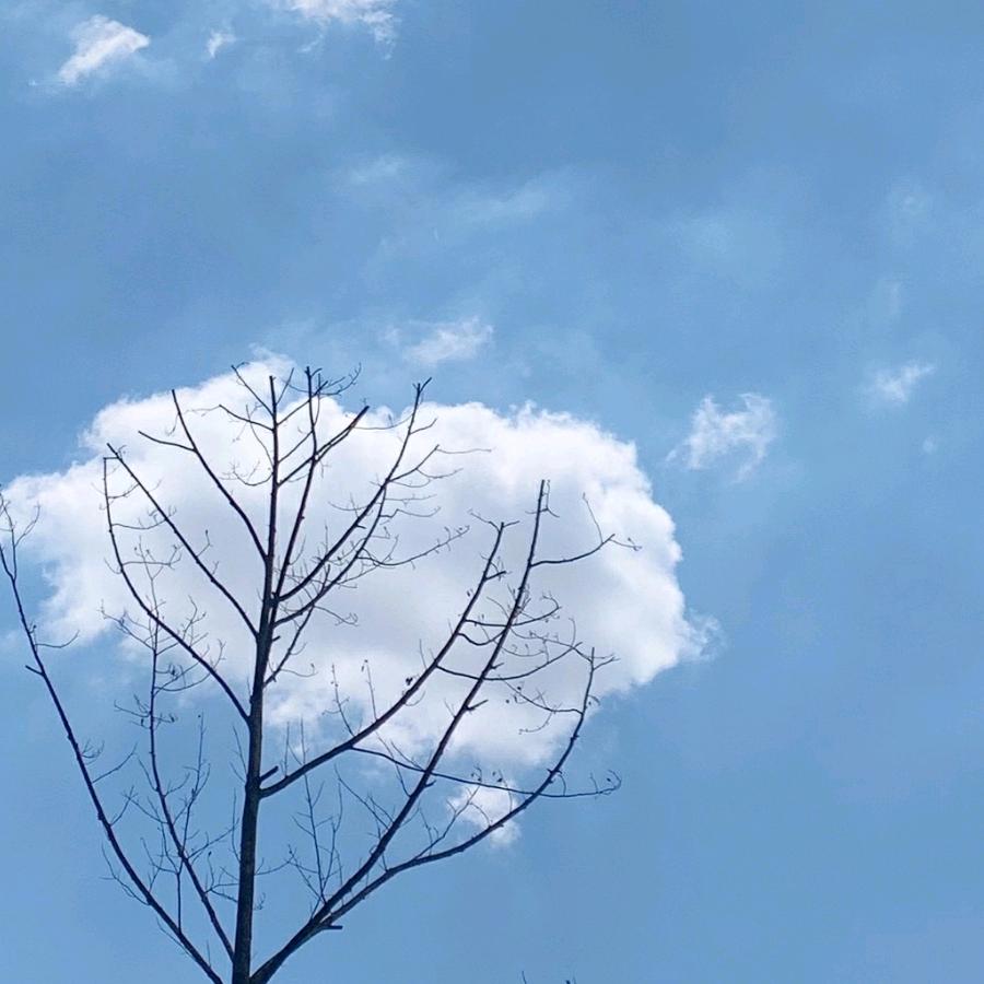 好久、不见