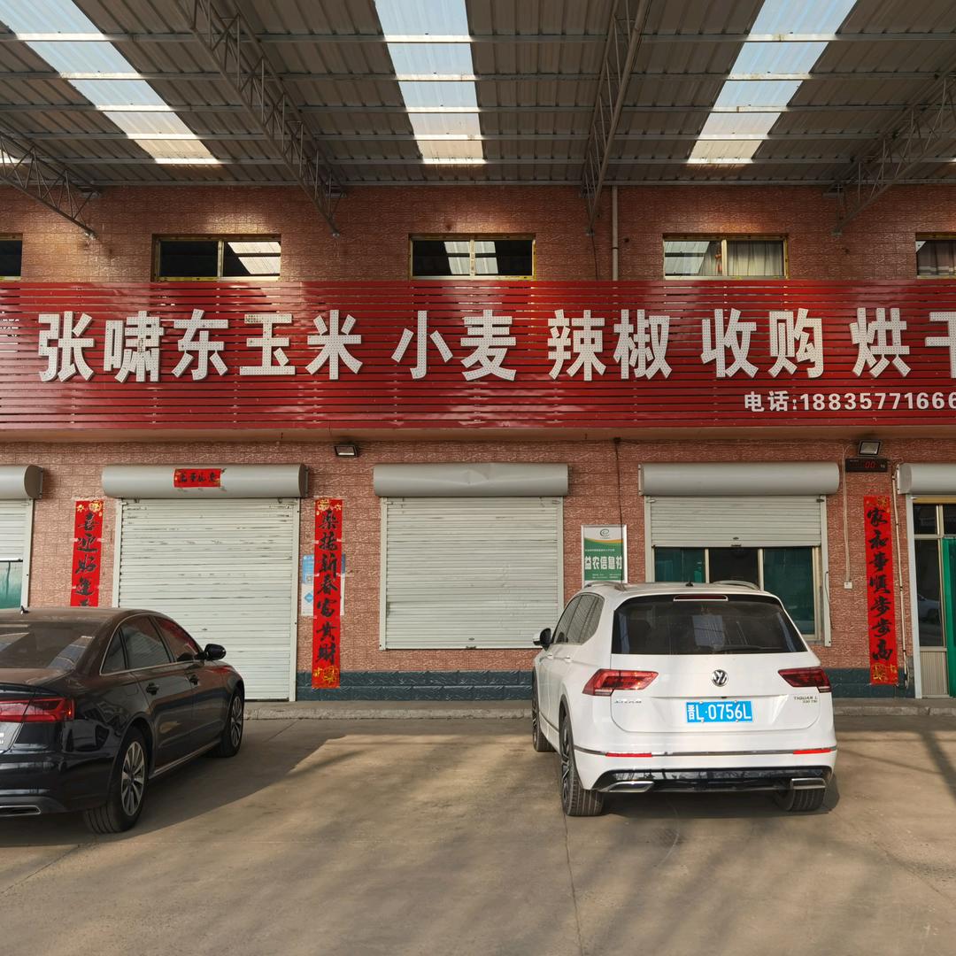 @张啸东烘干、色选玉米