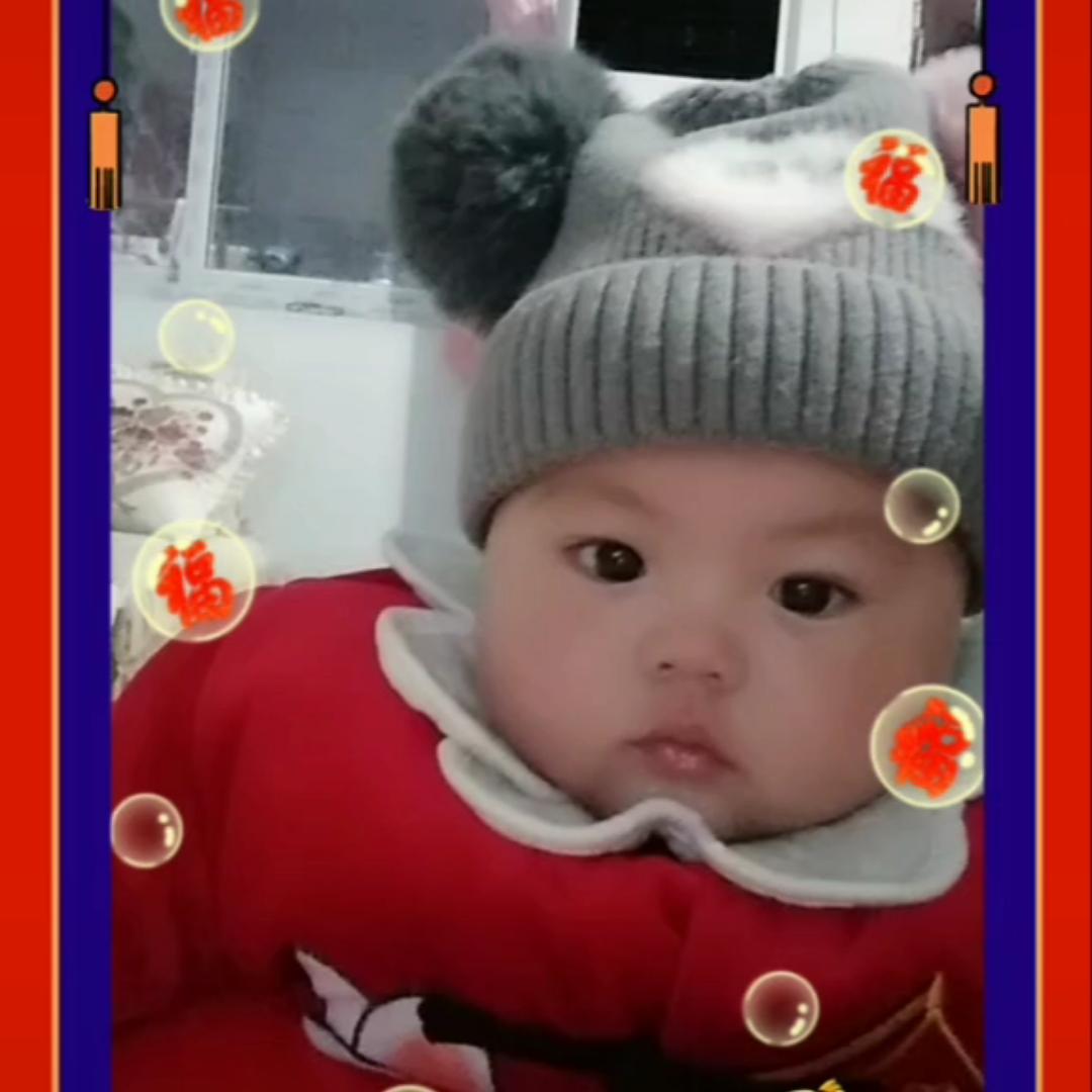 燕子7761704358156