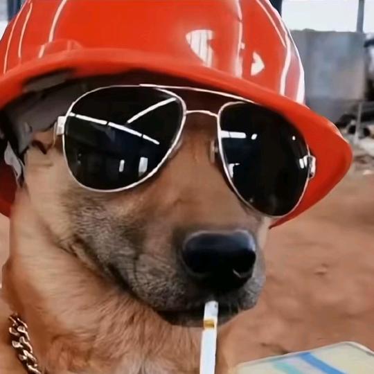 我是钉子我怕个🔨