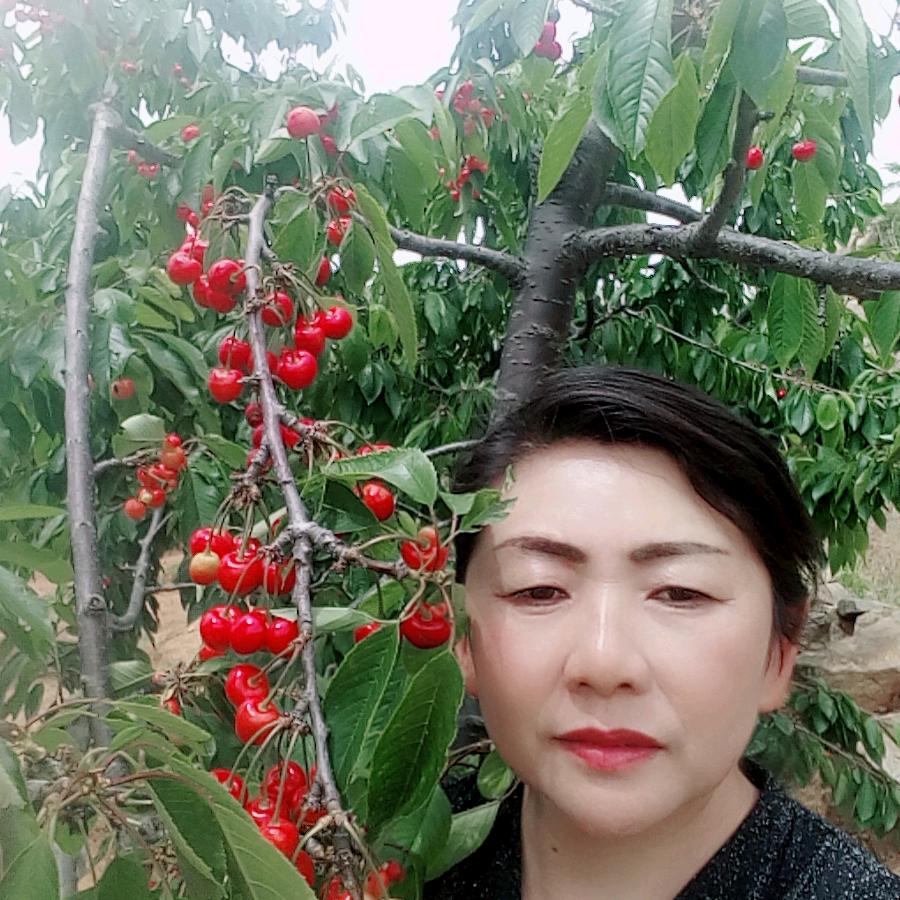 樱桃。