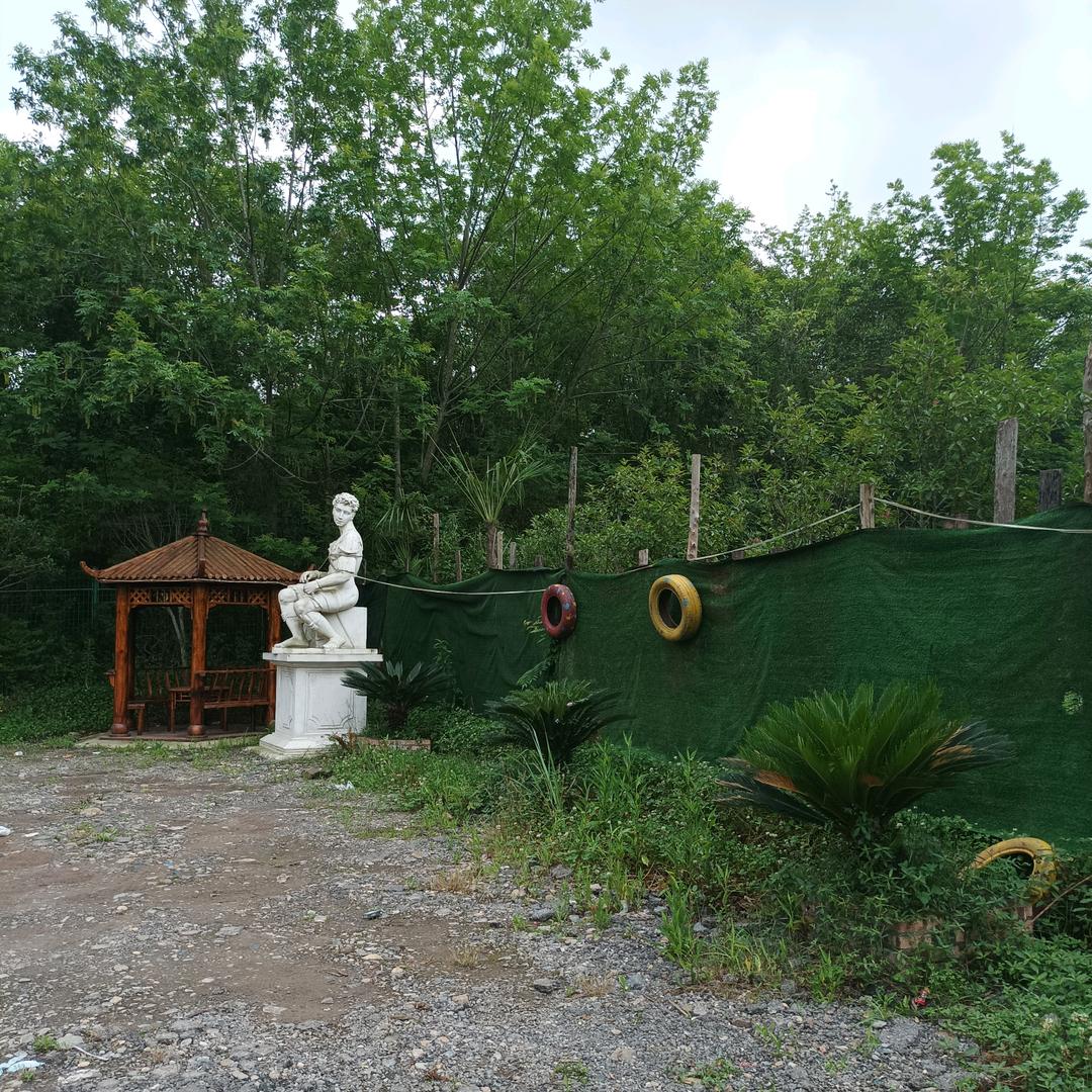 🌹((❤️⥎❤️))🌹秀秀