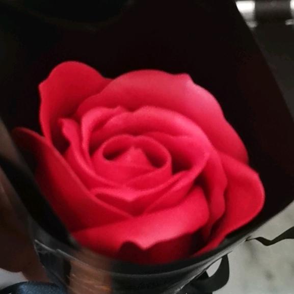 刘在你心里