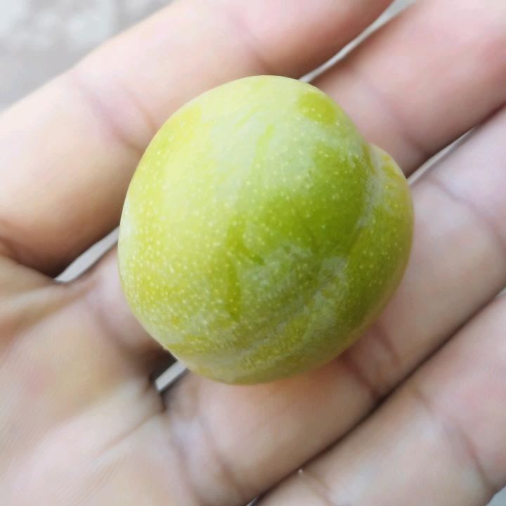 《九块九的爱情》