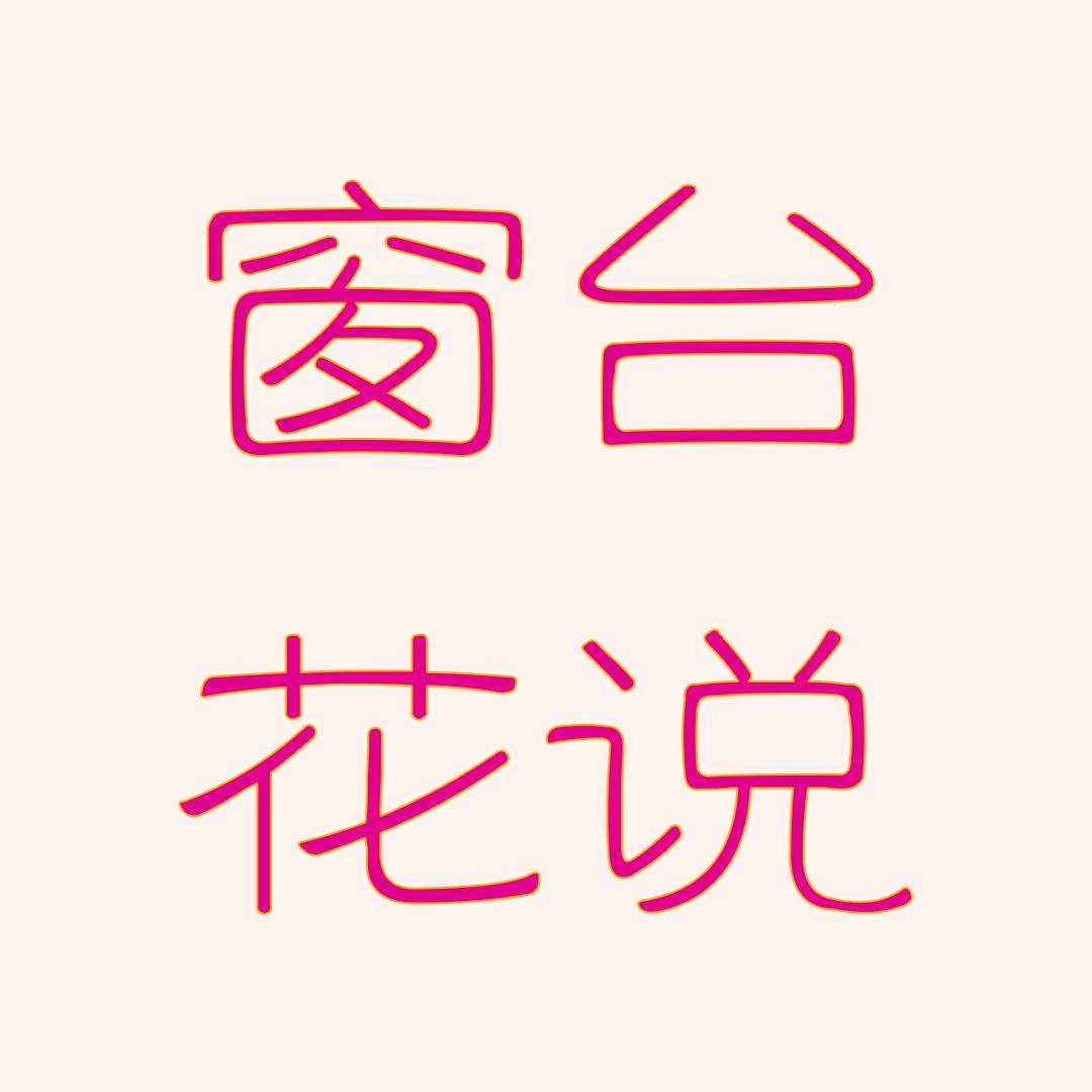 窗台花说