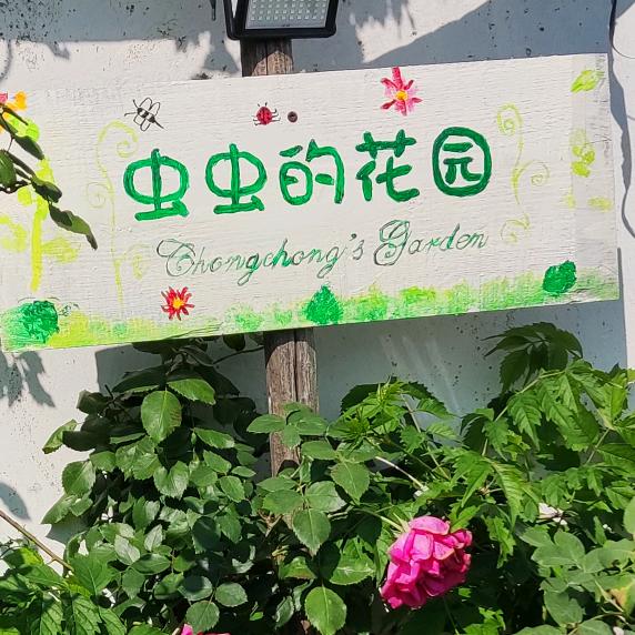 虫虫的花园