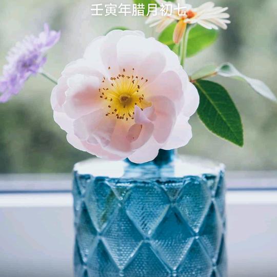 牟士连