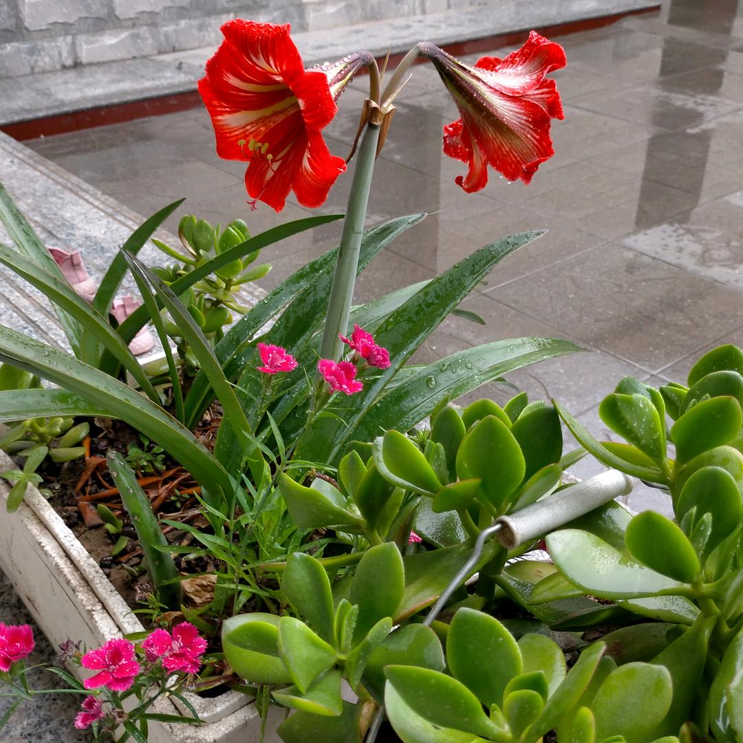 愿一生平安，健康。