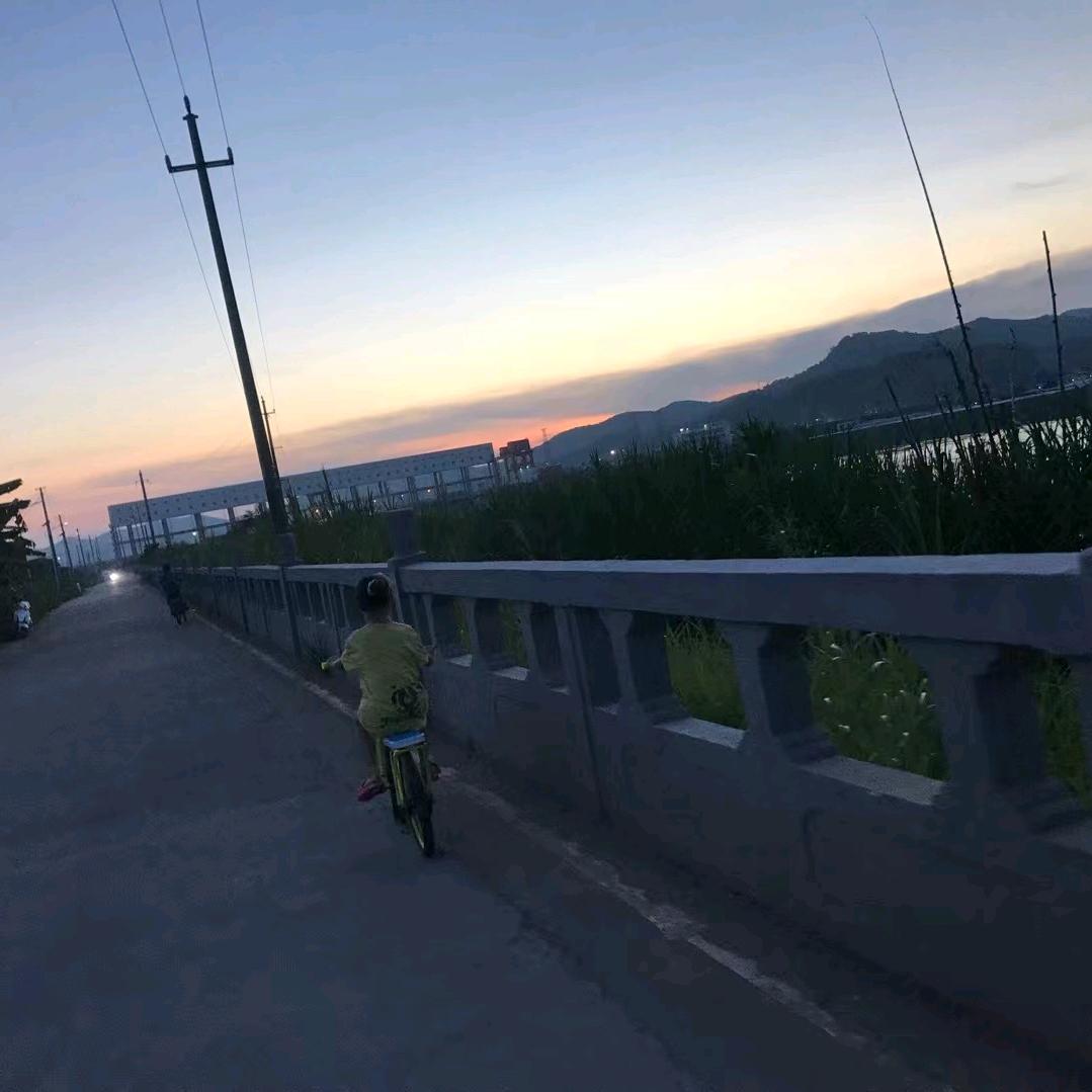 妙妙的590