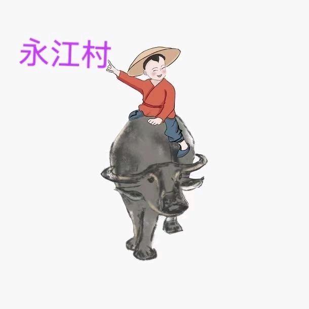 缘分天空