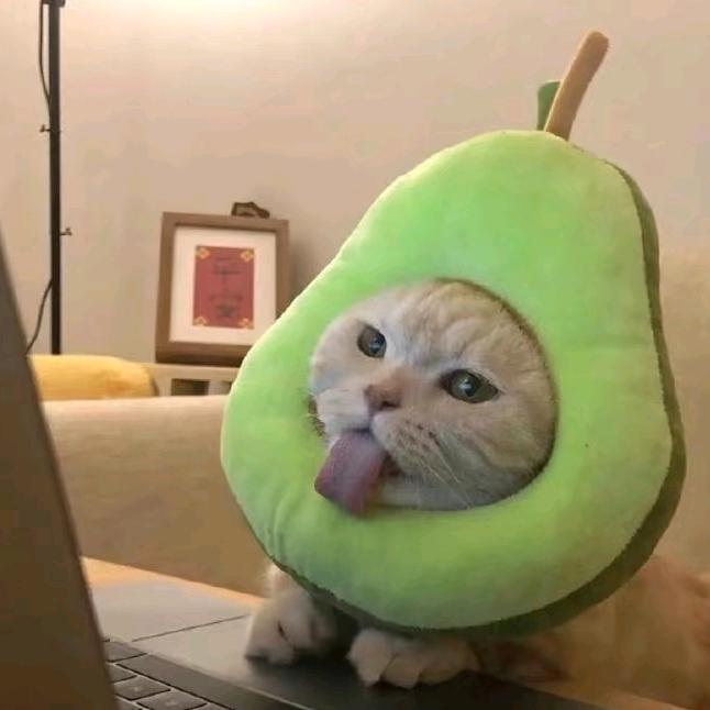 追剧综者