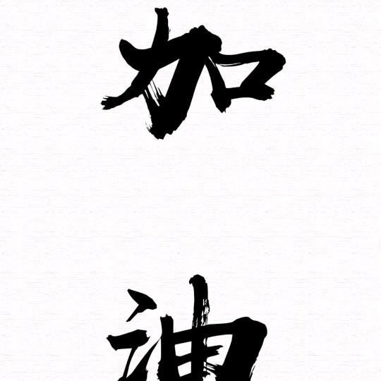蒲城小小蚂蚁维修